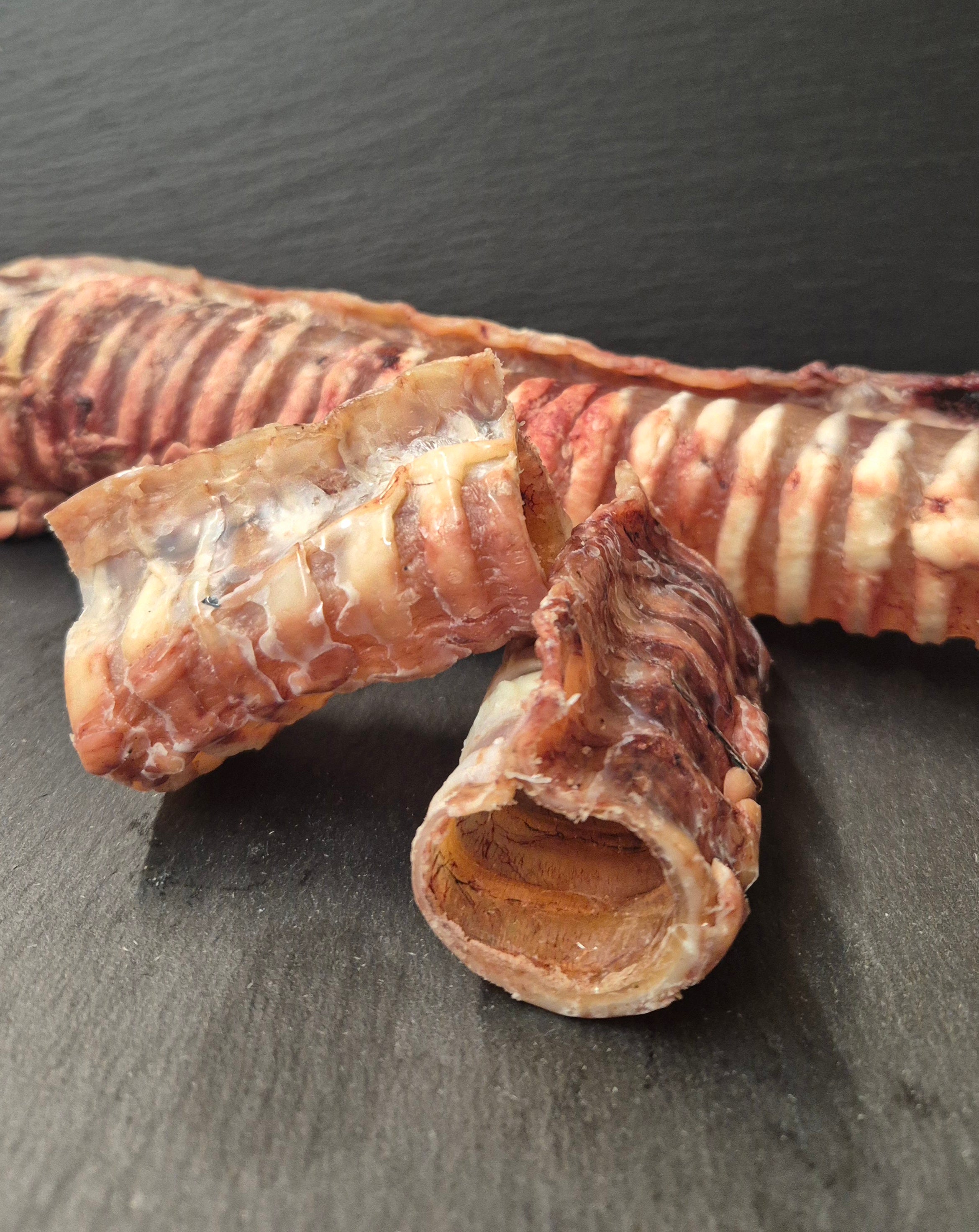 getrocknete Luftröhre